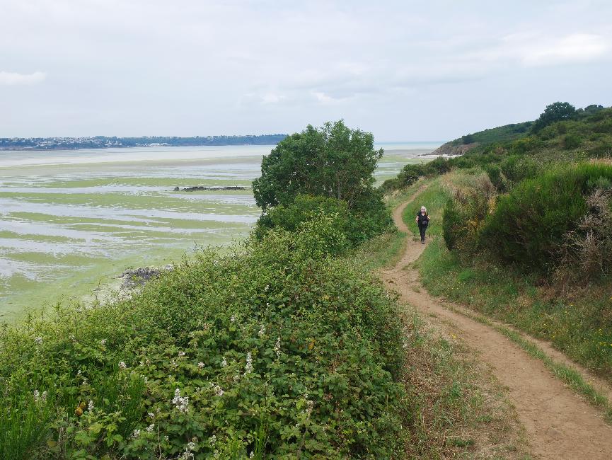 Cheminement au dessus de la maison de la baie (Hillion)