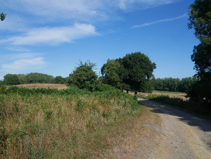 La Haute Bahaldière ; nous quittons la forêt pour suivre un bout de route