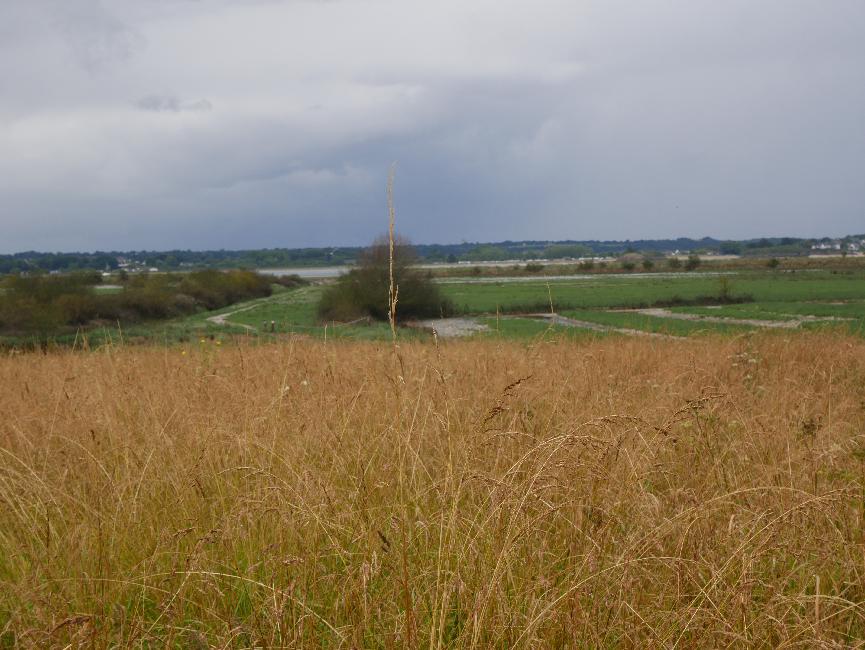 Dans les marais de Ville es Prètres, après la pluie