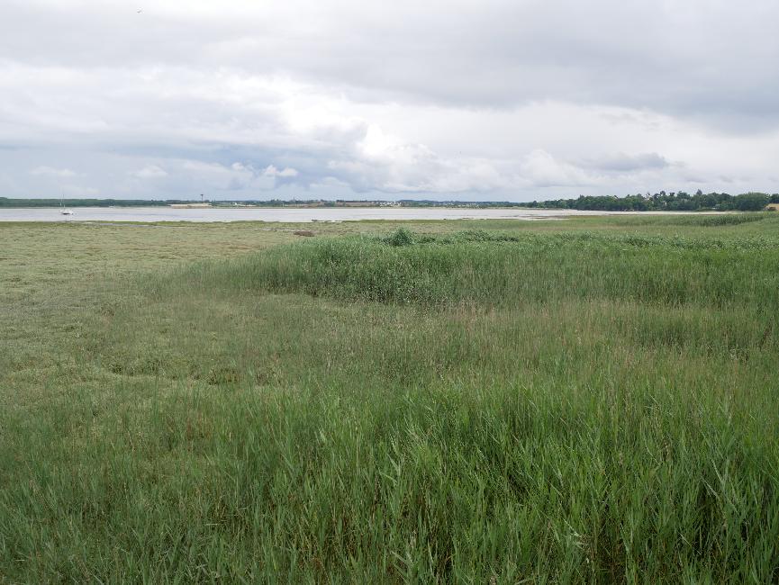 Baie de Lancieux, à Ville Gicquel