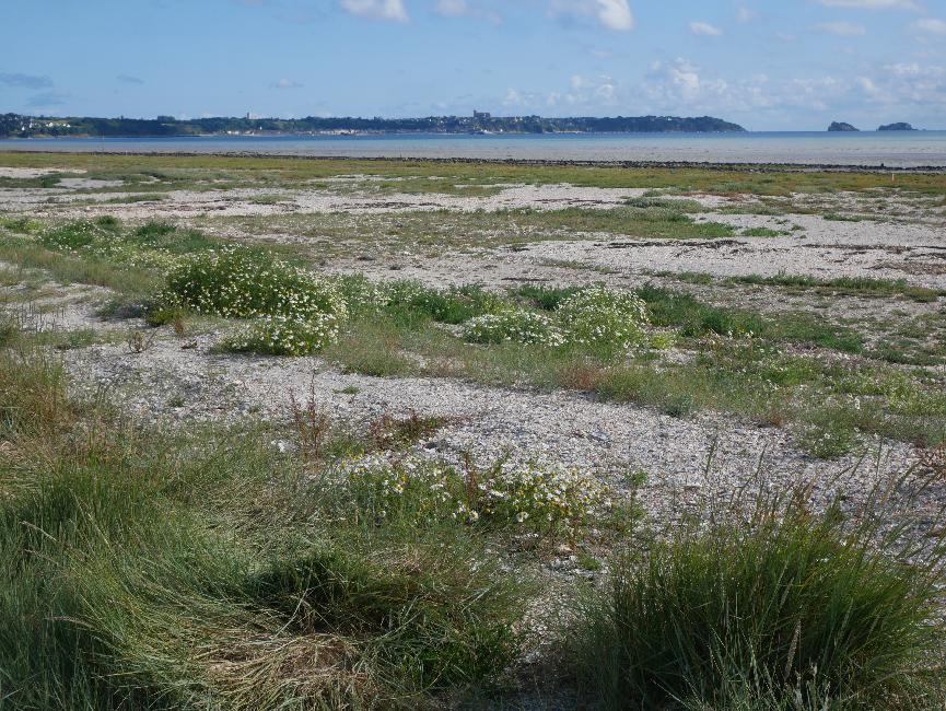 Saint-Benoit des Ondes, vue vers Cancale