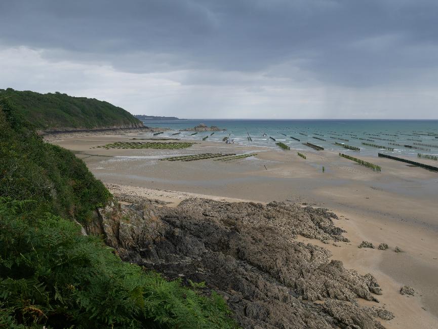 Pointe de Tiqueras ; bouchots