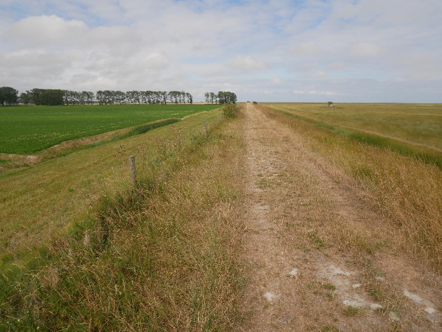Les polders, la digue, les herbus ; seule manque la mer !