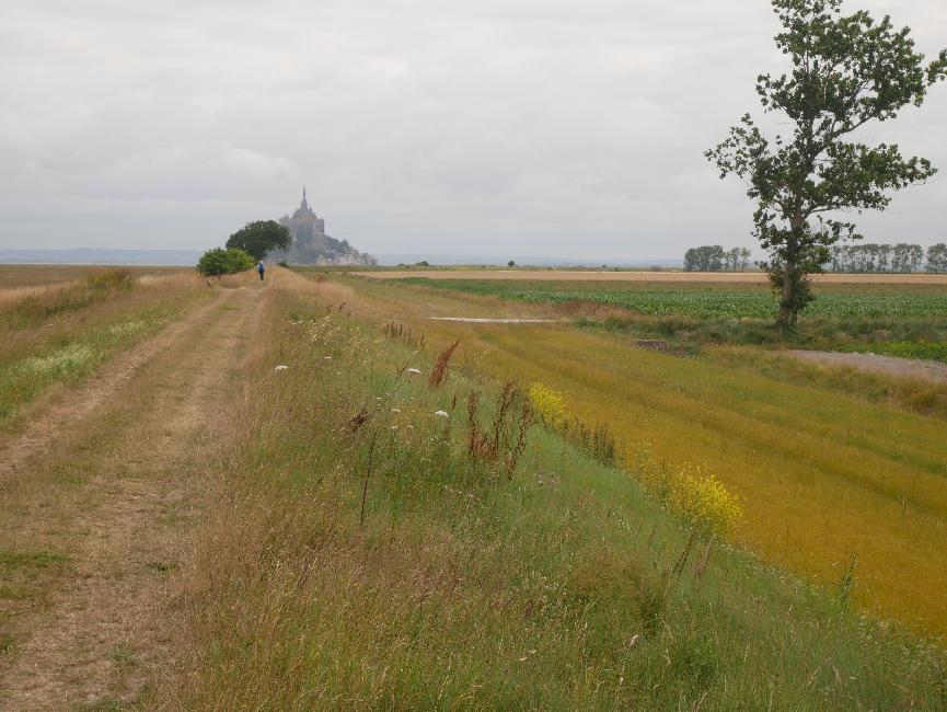 Les herbus, la digue, le mont Saint-Michel, les polders
