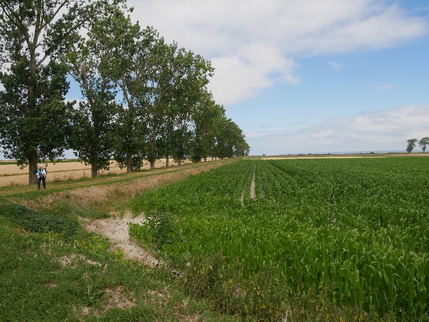 Au milieu des polders, en direction des salines