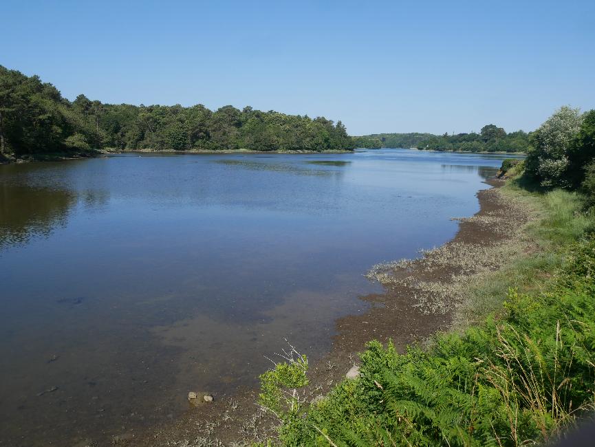 Vue depuis le bout du Bélon