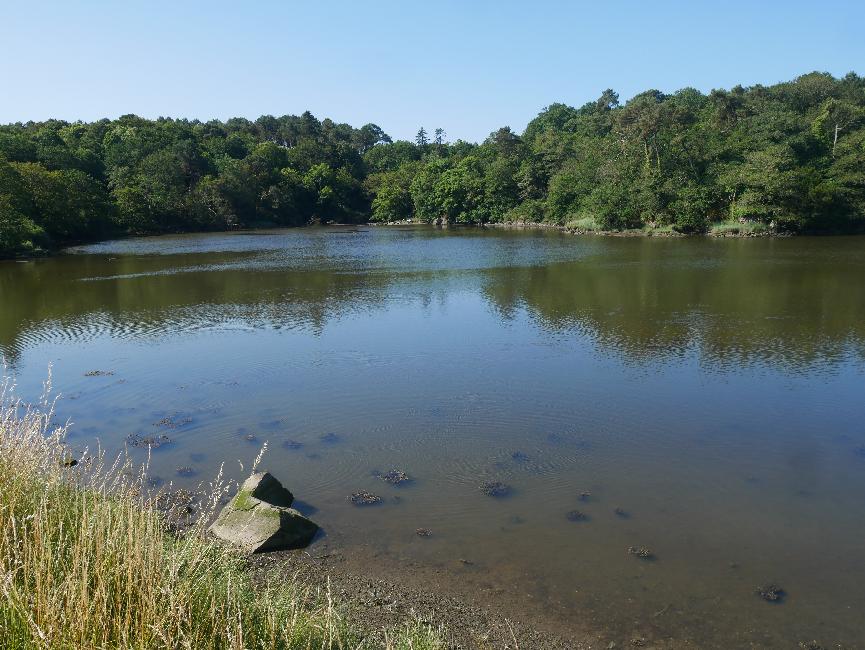 Le bout du Bélon