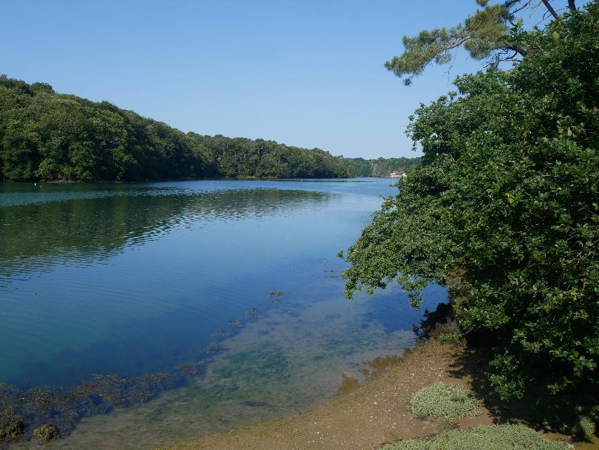 Anse de Saint-Léger - le Bélon