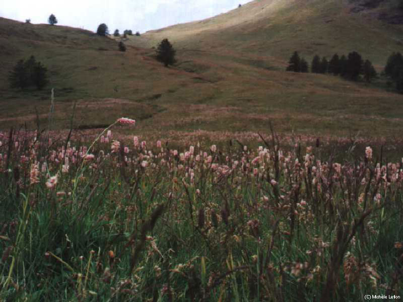 Redescente de la collette de Gilly