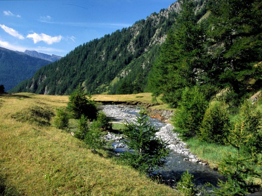 Torrent de Malrif, sur l'alpage du Pré Levier (2000m)