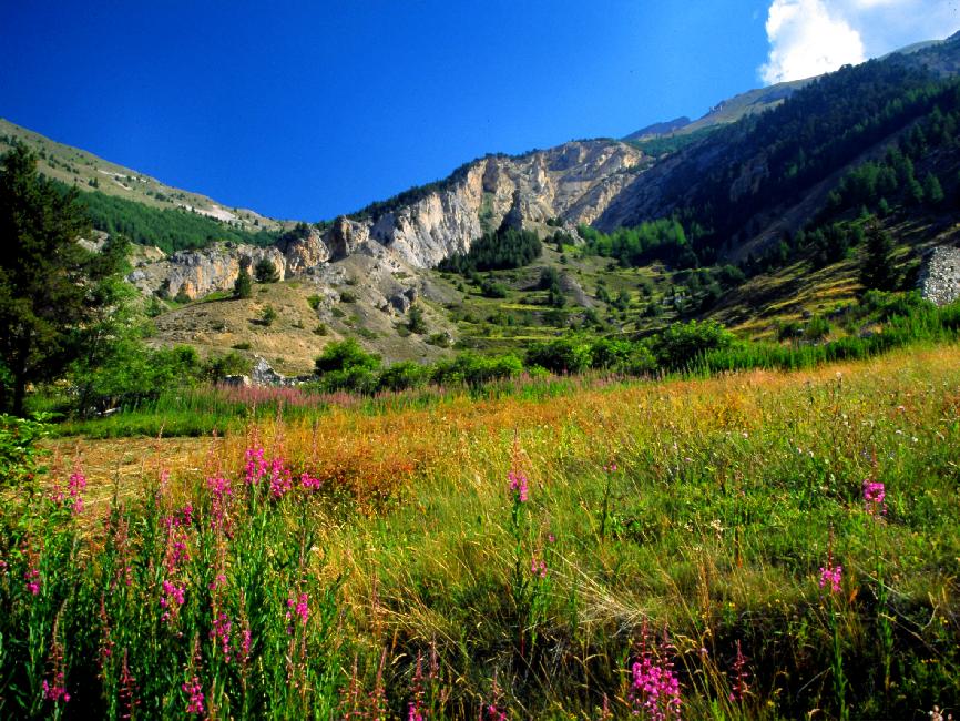 Hameau du Tiouré, au niveau du col Fromage