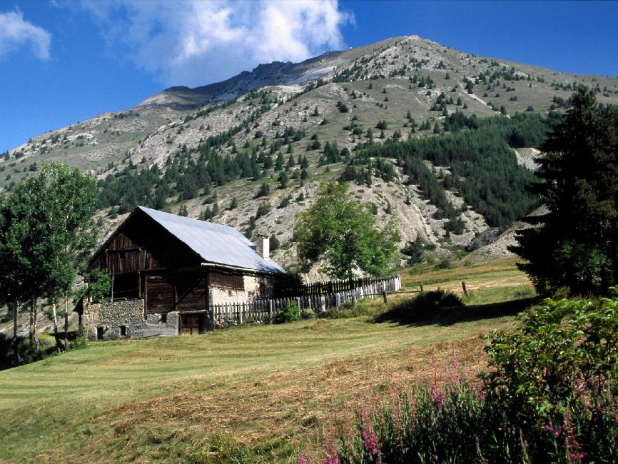 Chalet, aux environs du Tiouré