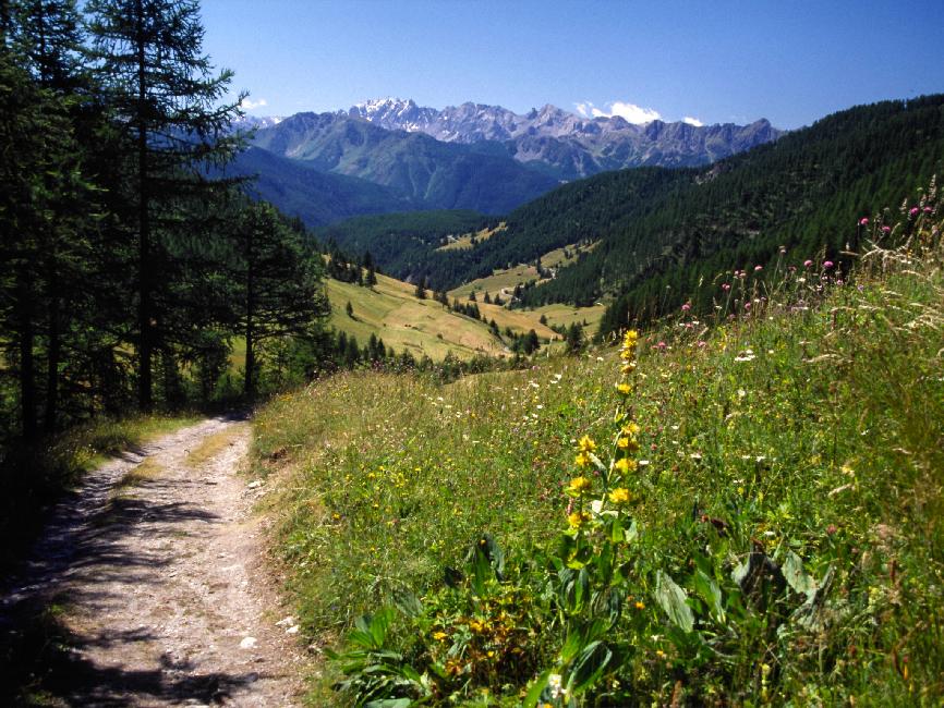 Vue vers Souliers (1816m)