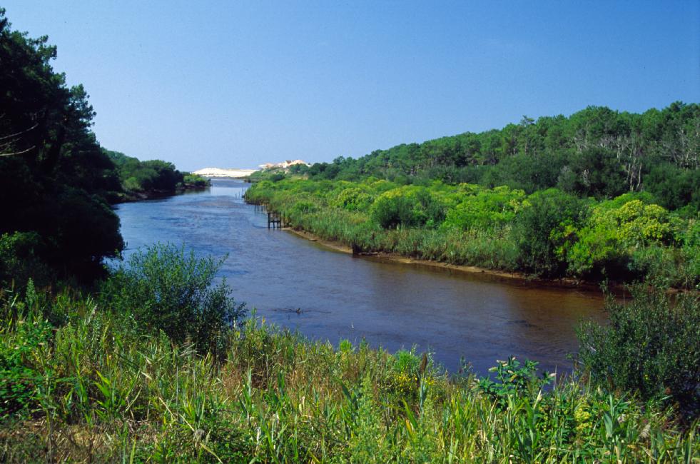 Nous contournons le courant de Contis, perpendiculaire à la mer