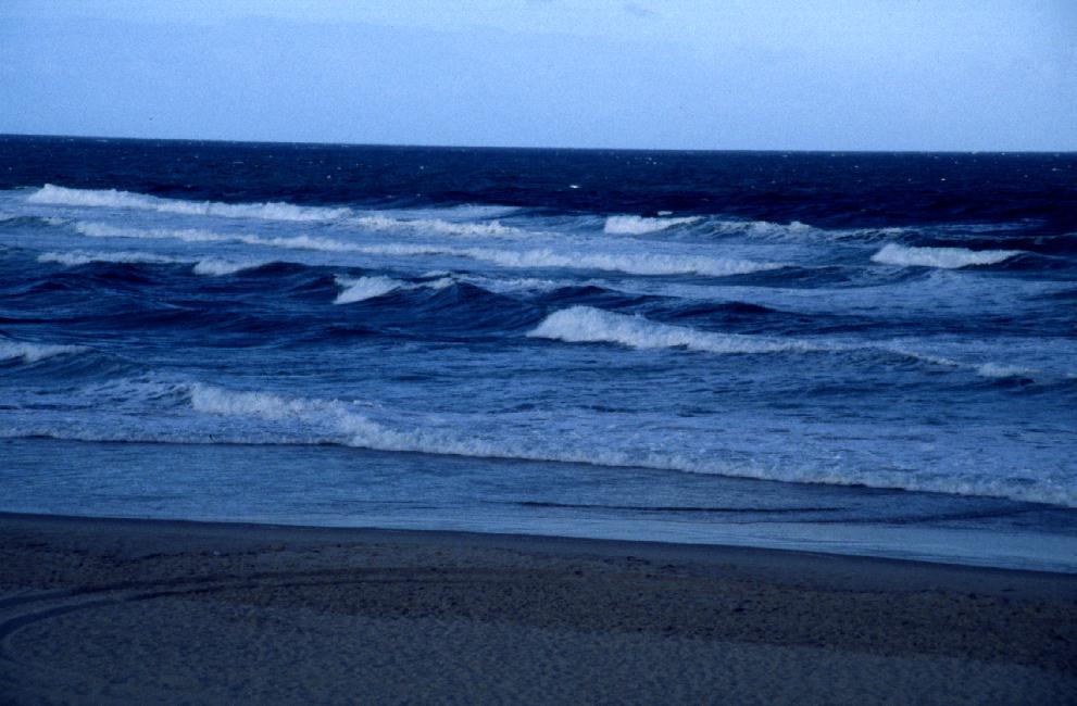 Dernière baignade dans les rouleaux de l'Atlantique