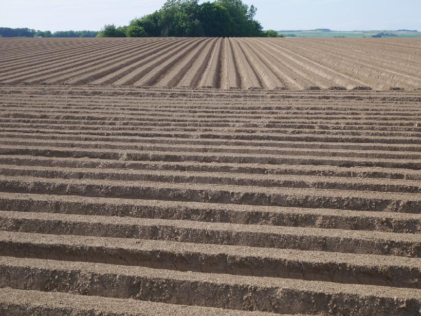 Sur le GRP Tour du boulonnais
