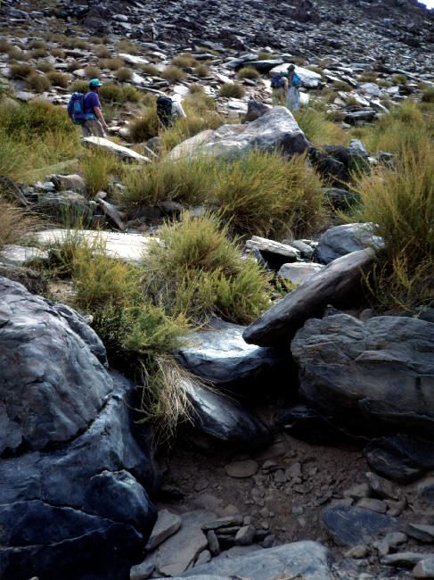 Cherchez bien : c'est le point d'eau ! 