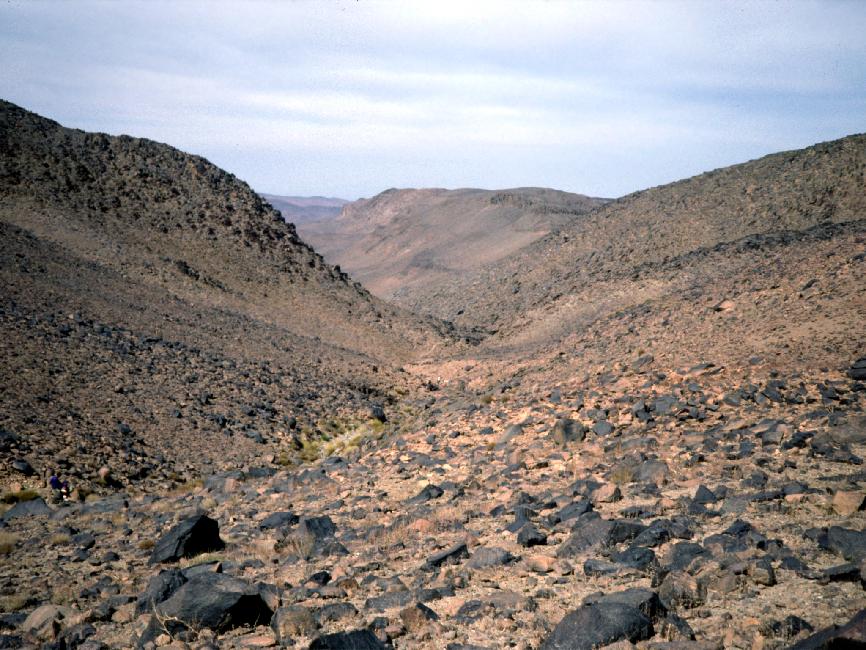 Montée vers le plateau de l'Assekrem ; désert de cailloux ! 