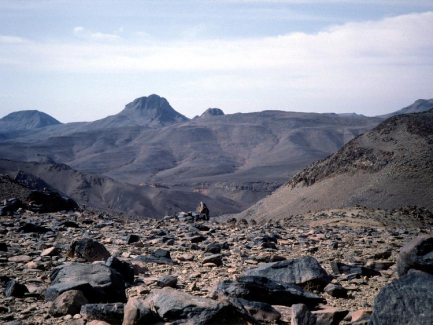 Dos au plateau de l'Assekrem 
