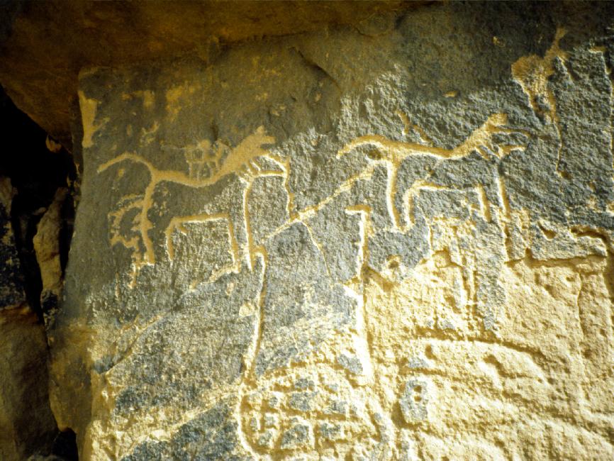 Gravures rupestres 