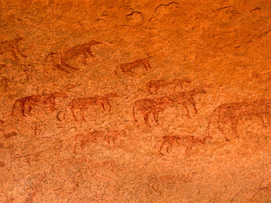 Magnifiques peintures rupestres 