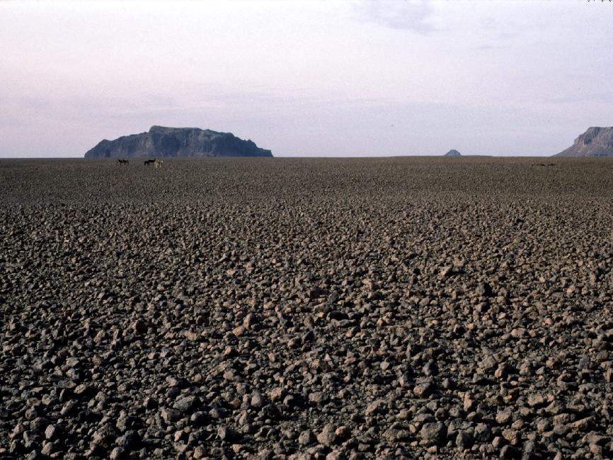 En trois lettres : désert de cailloux 