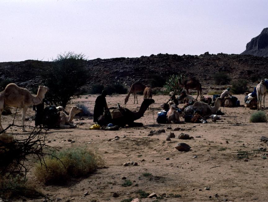 La caravane à la pause 