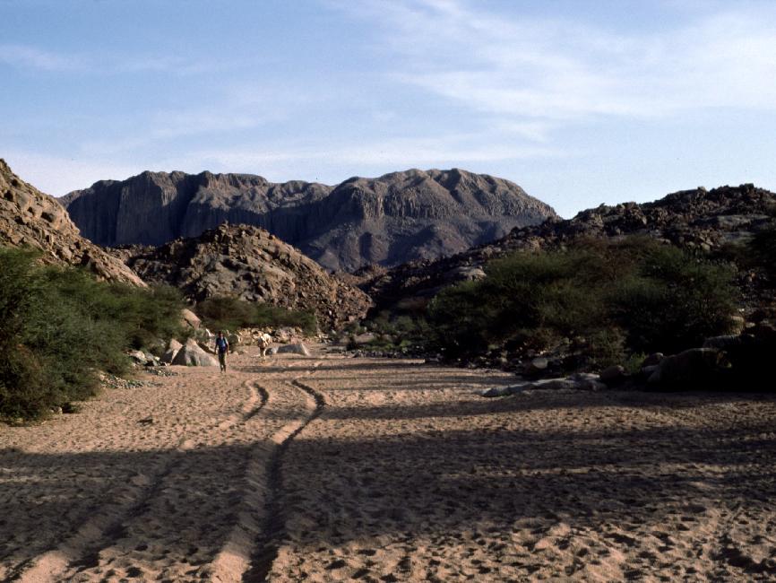 Nous suivons cet oued jusqu'au point d'arrivée