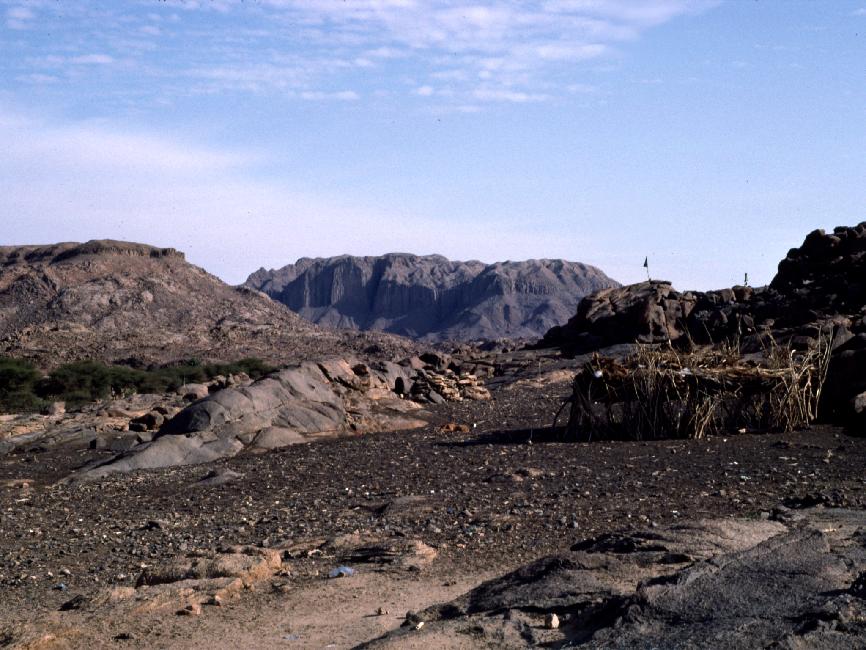 Campement , autour d'un enclos à chèvres 
