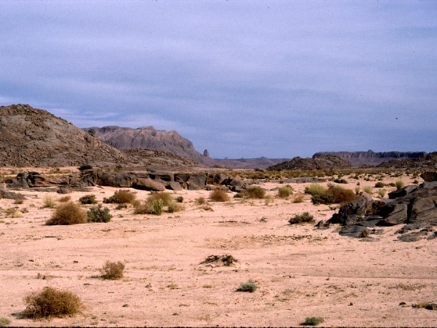 Nous attendons les 4*4 