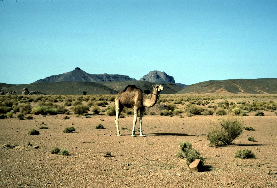 Les choses sérieuses ne commenceront que demain !