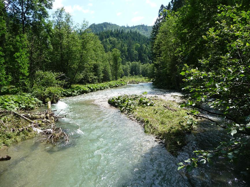 De Bad Oberdorf à Pfronten