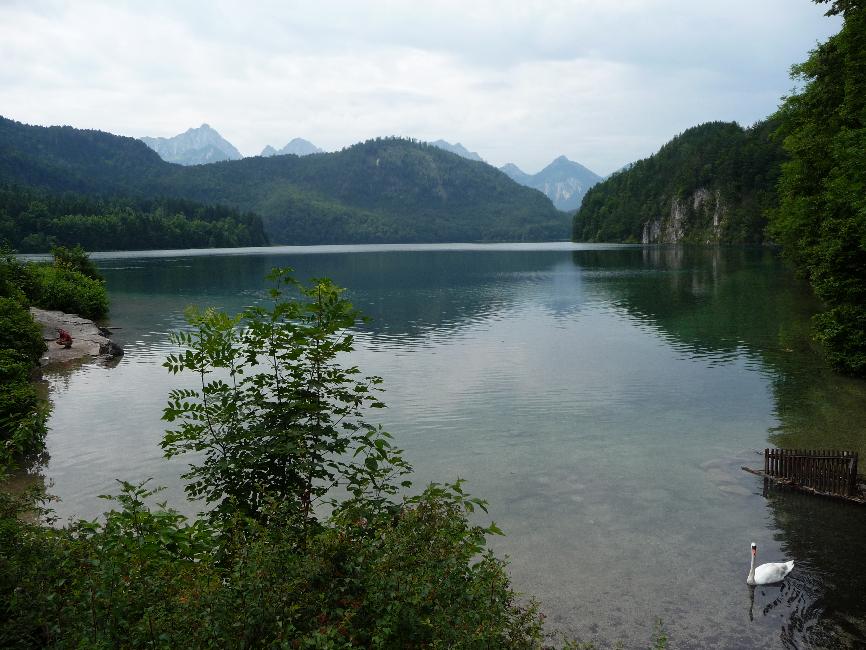 Alpsee