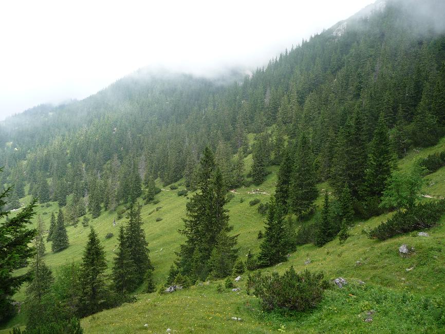 Redescente du Vilser Jöchle ; Sebenalpe