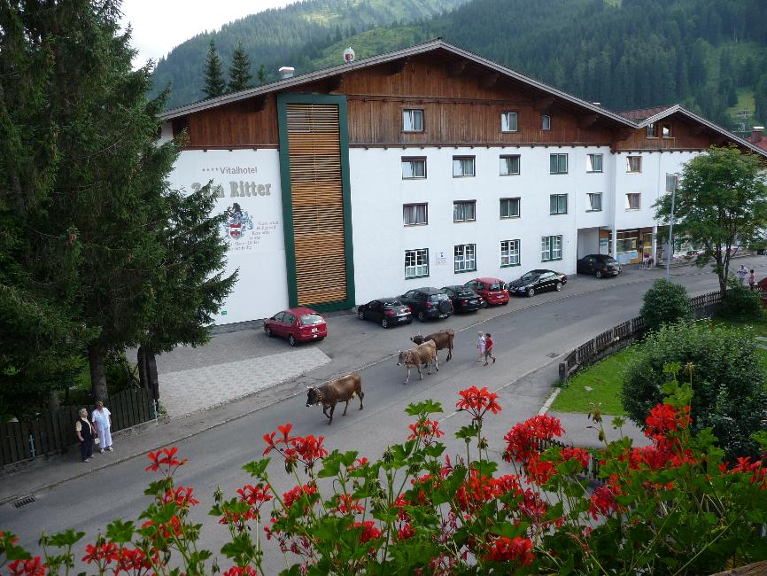 Vaches dans les rues de Tannheim