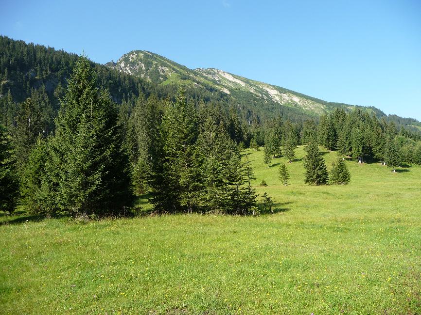 Montée vers Sennalpe