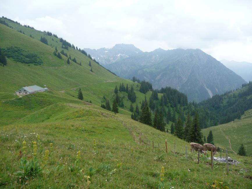 Redescente de Obere Stuibenalpe ; vue vers Zipfelsalpe