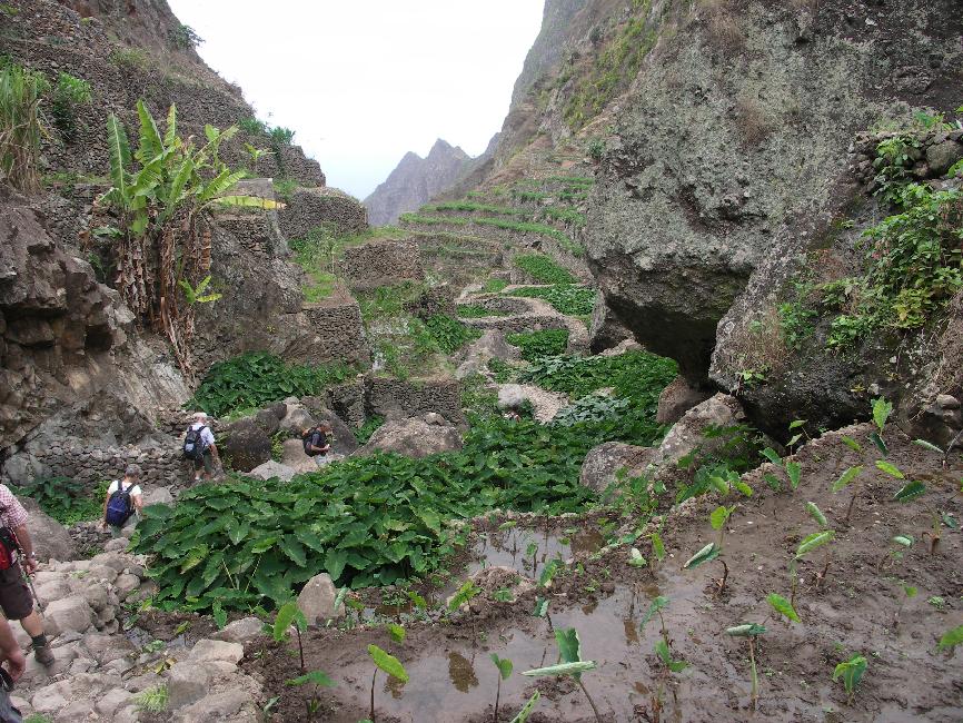 La moindre parcelle de cette terre fertile est mise en valeur