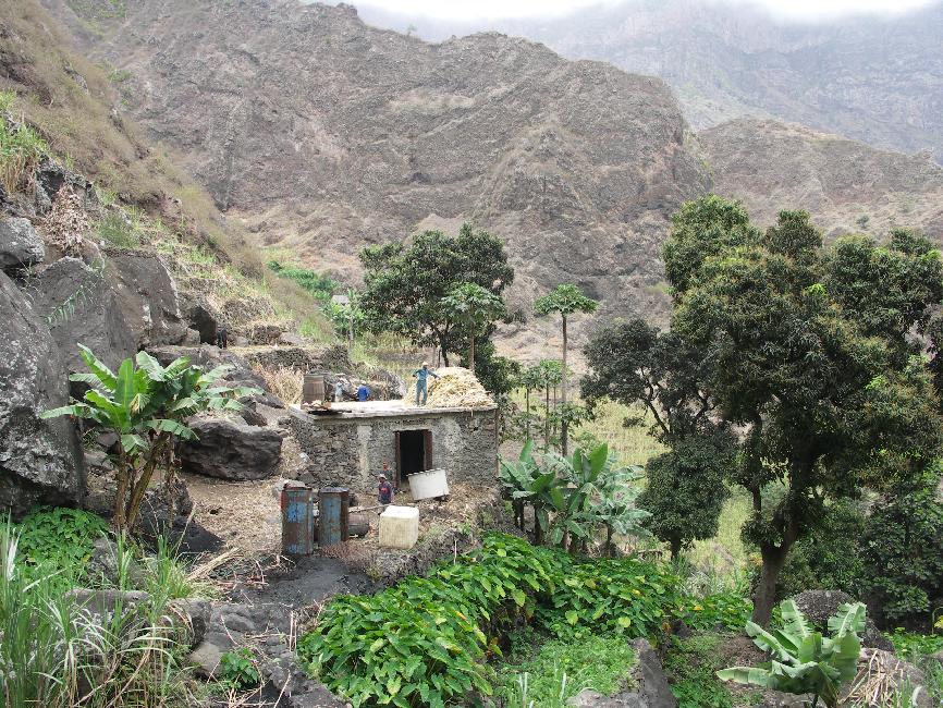 Ribeira Grande ; rhumerie artisanale