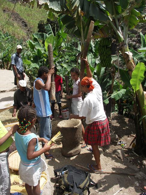 Ribeira Grande ; Suzanne participe au battage du café