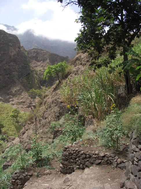 Ribeira Grande ; terrasses