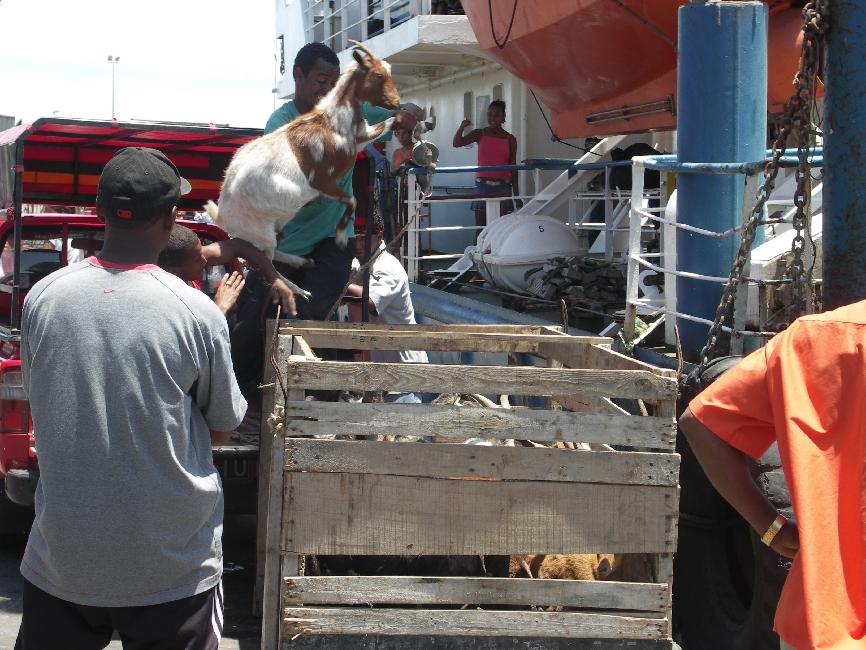 Chargement de nos compagnes de croisière
