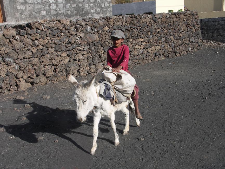 Pourquoi se fatiguer pour aller à l'école ?