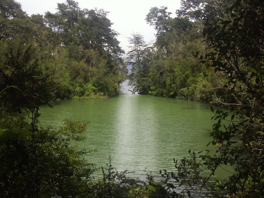 La Laguna Verde doit sa couleur à des micro organismes