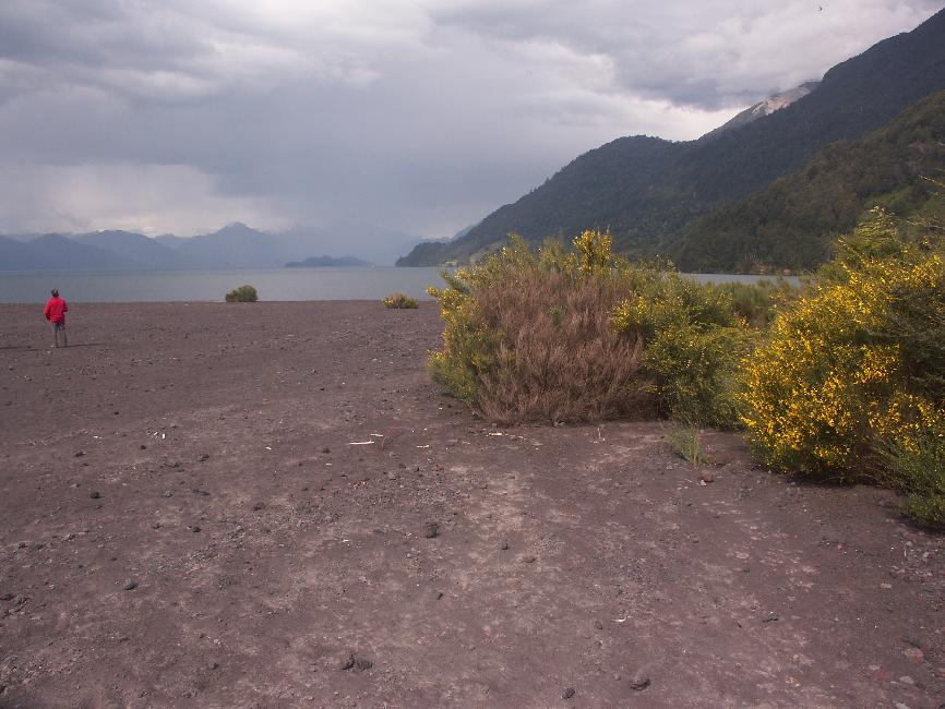 Rives du lac de Todos los Santos