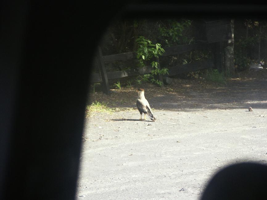 Traro, sur la piste du lac de Todos los Santos