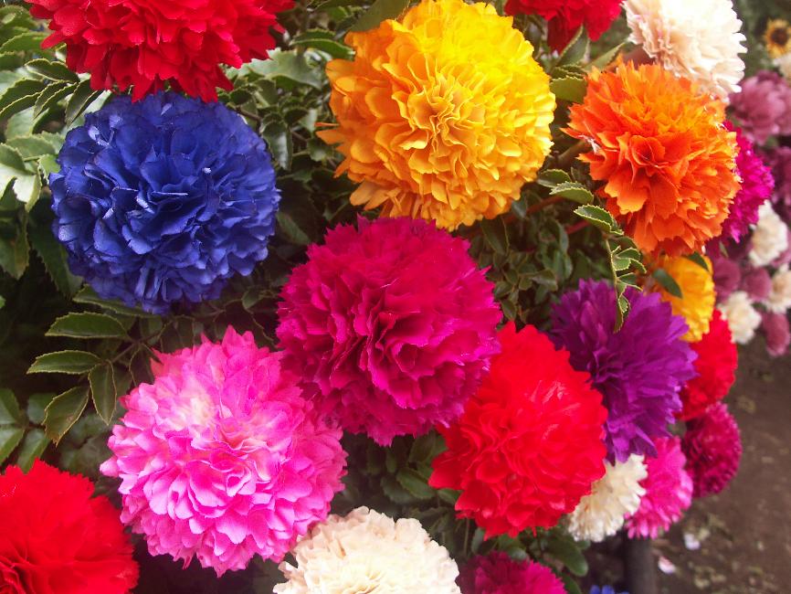 Fleurs en bois ; on dirait des vraies !