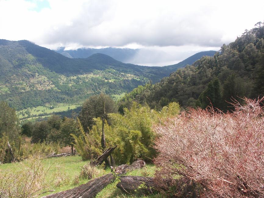Montée vers le sanctuaire El Cañi ; vue vers le lac Villarrica