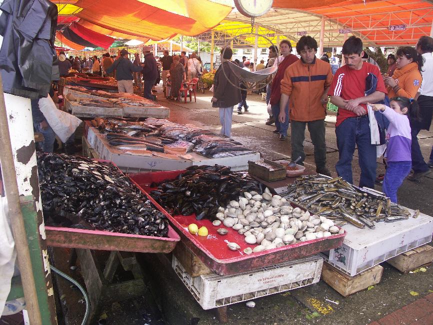 Marché fluvial de Valdivia