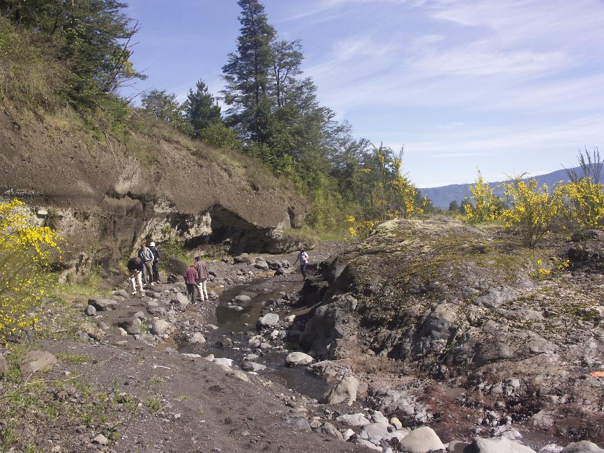 A la recherche d'arbres carbonisés, sur les flancs du Villarrica